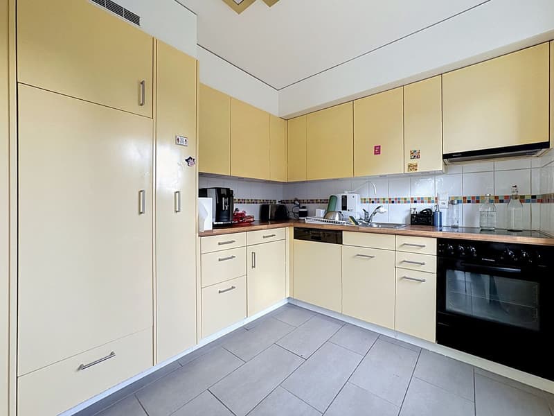 Entre lac et ville, l'appartement qui coche toutes les cases (9)