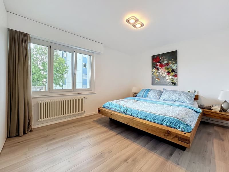 Entre lac et ville, l'appartement qui coche toutes les cases (3)