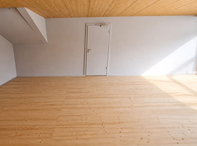 Dépôt / local de 51 m² à Donneloye (2)