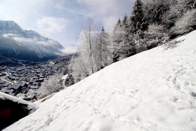 A VENDRE TERRAIN A CHAMPERY (7)