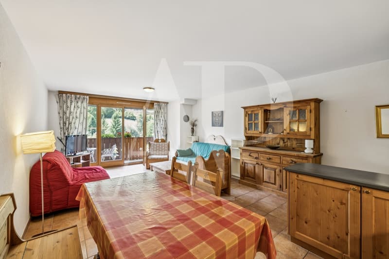 Exclusivité - Charmant appartement à vendre aux Bains à Val- D'Illiez (5)