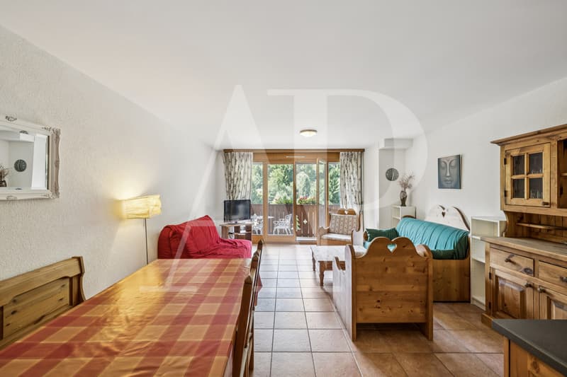 Exclusivité - Charmant appartement à vendre aux Bains à Val- D'Illiez (4)