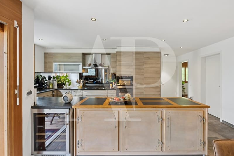 Spacieux duplex lumineux de 7,5 pièces avec vue imprenable (12)