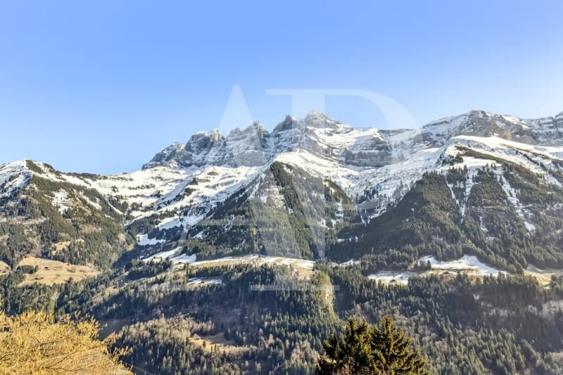 Exclusivité - Splendide Chalet Alpin à vendre (11)