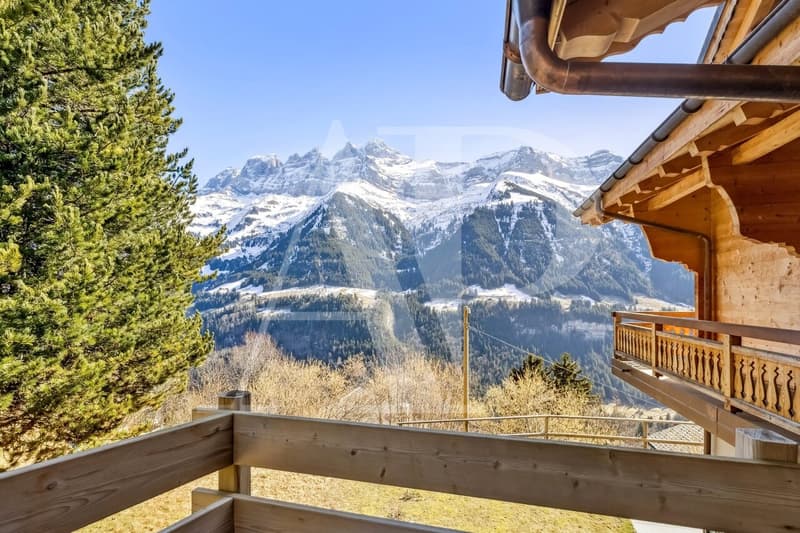 Exclusivité - Splendide Chalet Alpin à vendre (8)