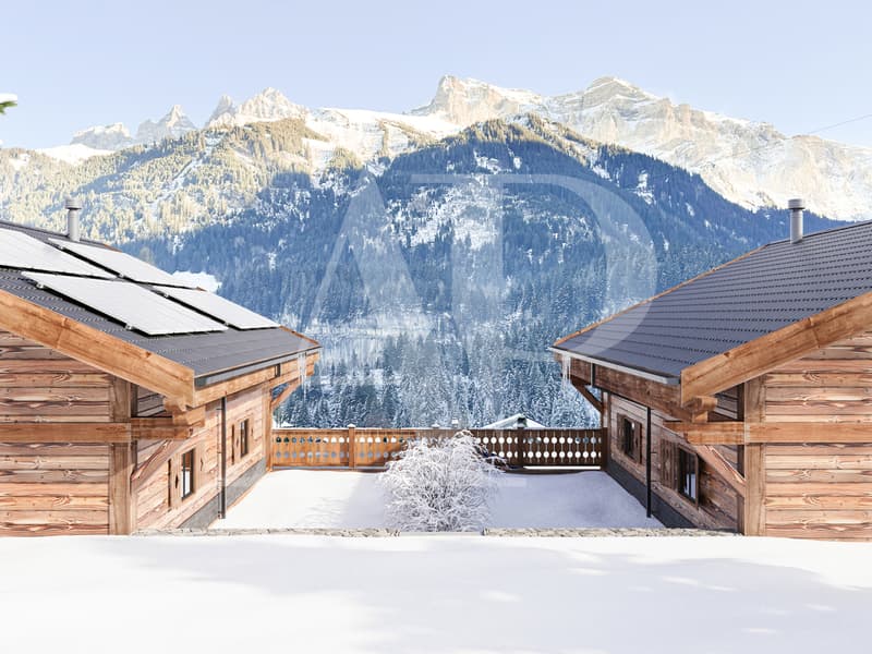 Exclusivité - Deux superbes chalets neufs sur plan à vendre (3)