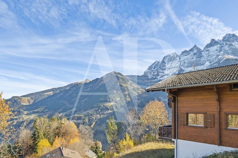 Magnificent construction d'un nouveau Chalet (6)