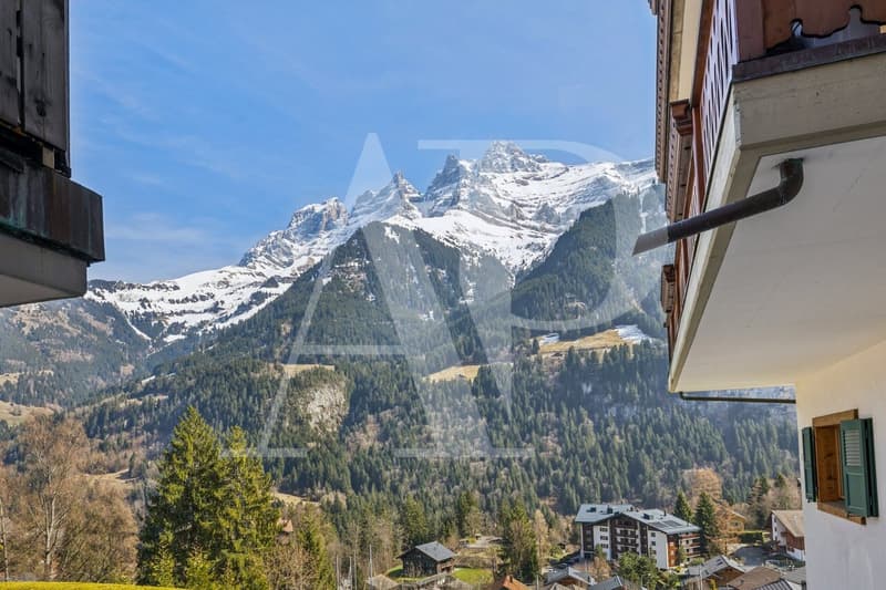 Opportunité commerciale au coeur de Champéry (4)