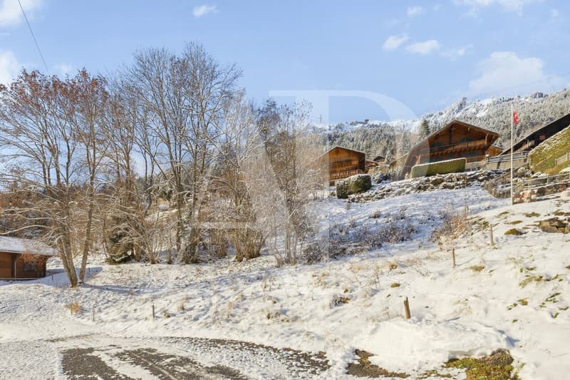 Exclusivité - Parcelles avec permis en force à vendre pour 2 chalets (2)