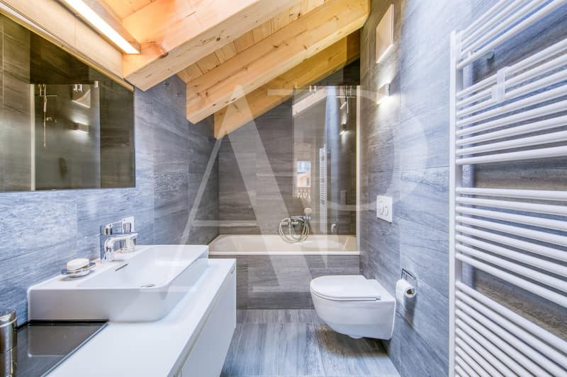 Penthouse d'exception à louer à la saison été comme hiver - Le Montagnier (12)