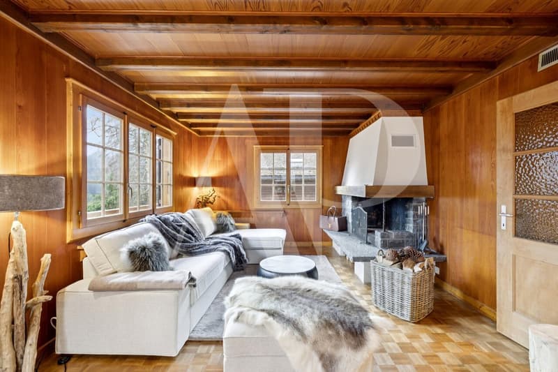 Chalet authentique à Champéry - 1'492 m² de terrain (1)