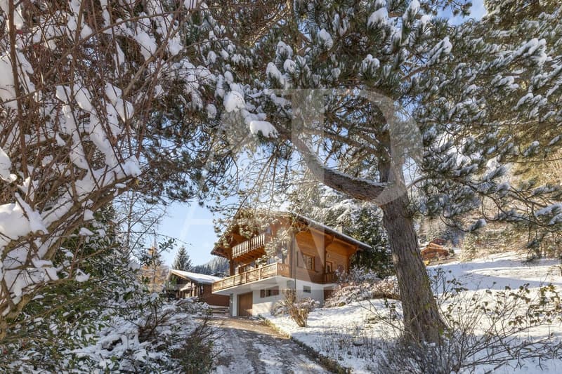 Chalet authentique à Champéry - 1'492 m² de terrain (9)