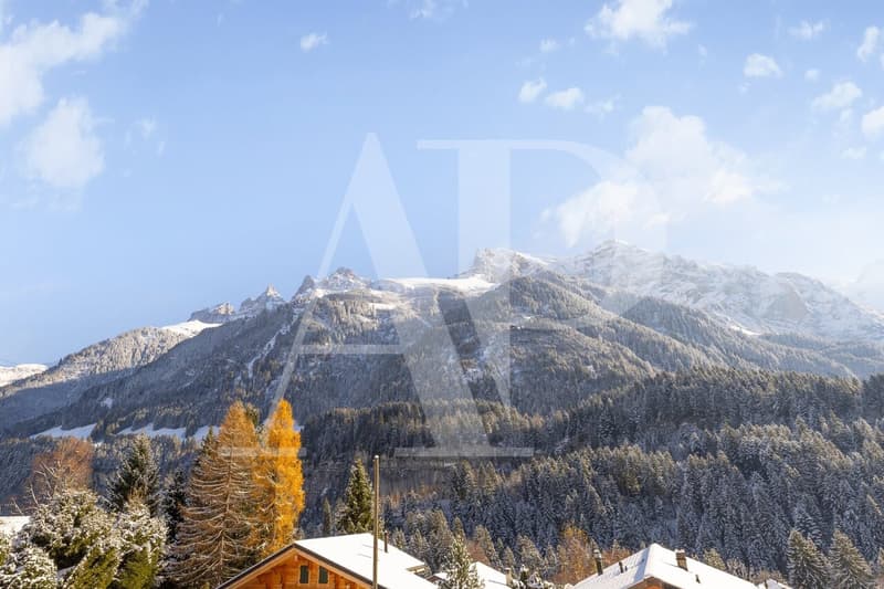 Chalet authentique à Champéry - 1'492 m² de terrain (12)