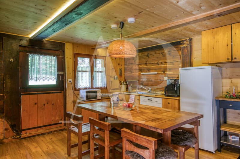 A VENDRE APPARTEMENT 5.5 PIECES  DANS UN CHALET AUTHENTIQUE (3)