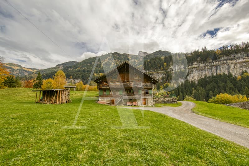 A VENDRE APPARTEMENT 5.5 PIECES  DANS UN CHALET AUTHENTIQUE (5)