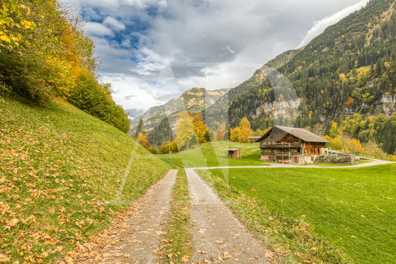A VENDRE APPARTEMENT 5.5 PIECES DANS UN CHALET AUTHENTIQUE (4)
