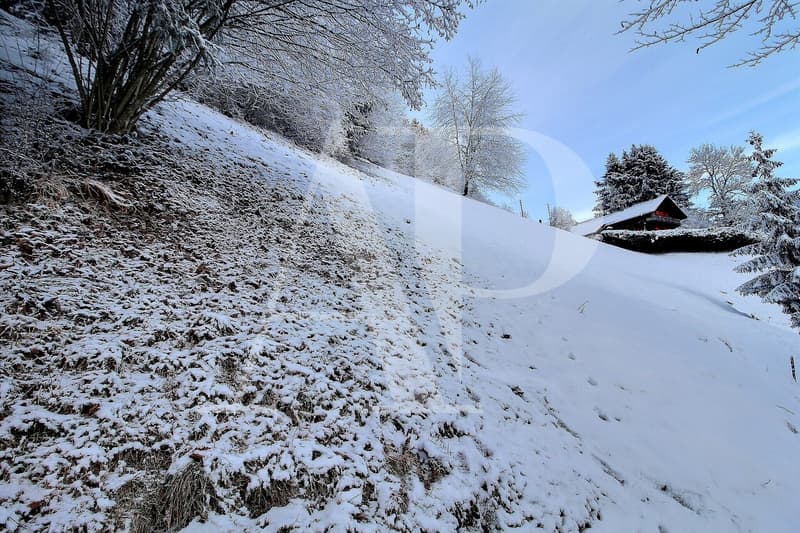 A VENDRE TERRAIN A CHAMPERY (1)
