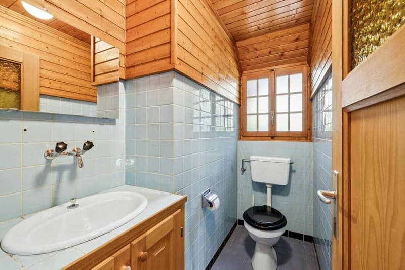 Chalet Entre Dents (23)