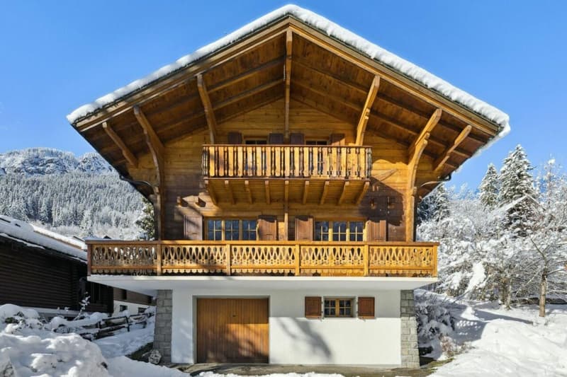 Chalet Entre Dents (10)