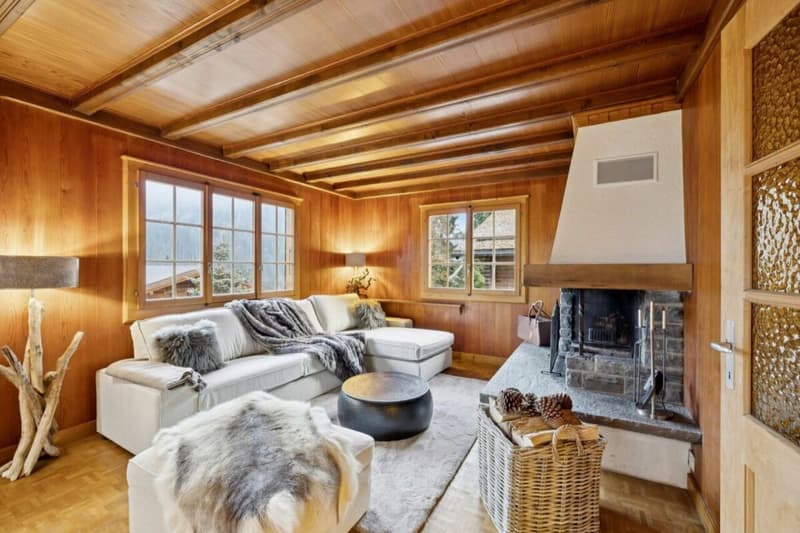 Chalet Entre Dents (4)