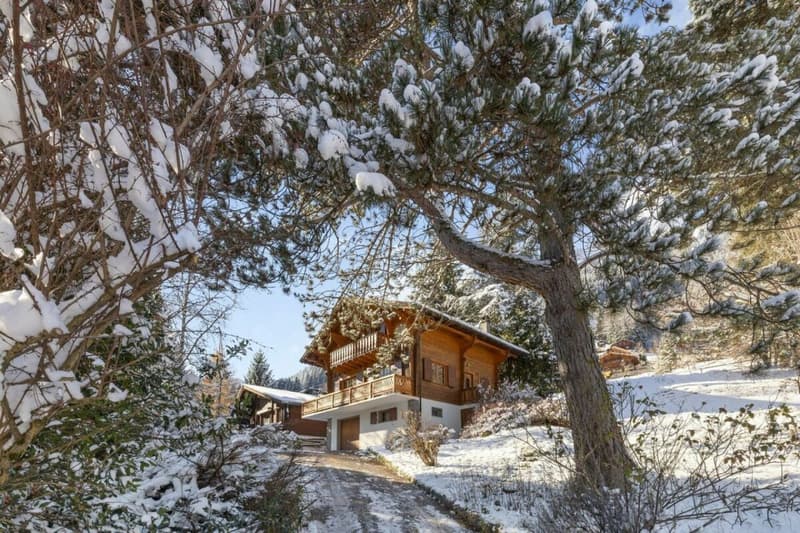 Chalet Entre Dents (7)