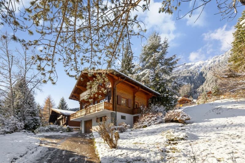 Chalet Entre Dents (8)