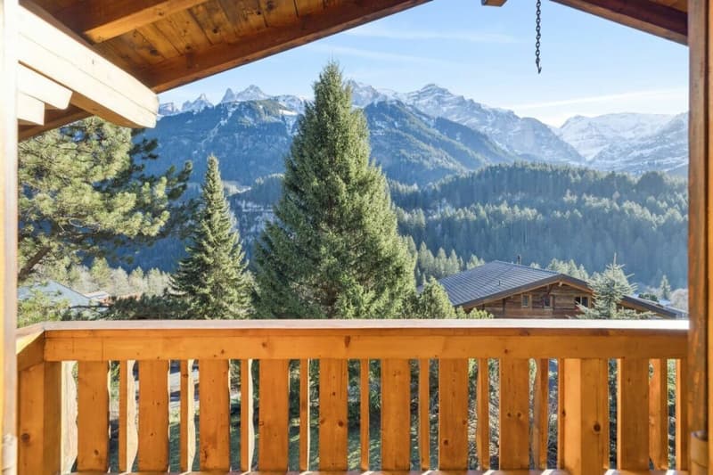 Chalet Entre Dents (17)