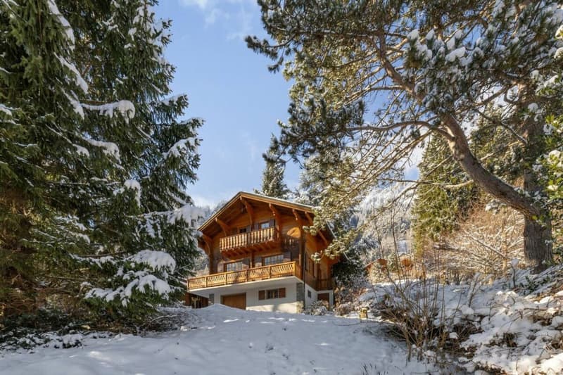 Chalet Entre Dents (12)