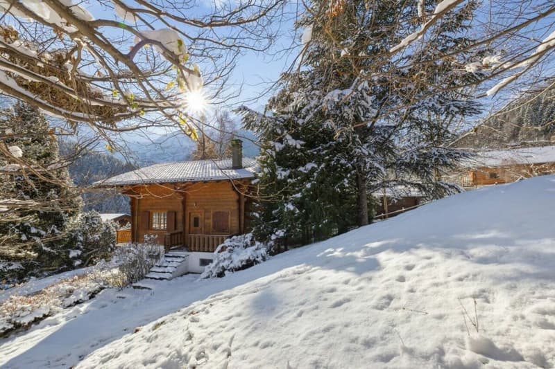 Chalet Entre Dents (11)