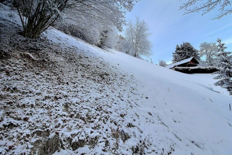 Terrain - Parcelles 1246 - 1247 copie (1)