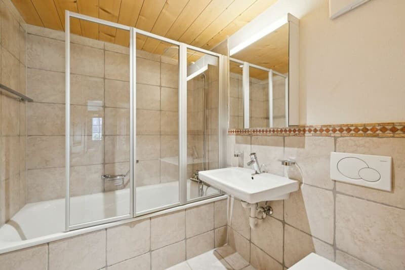 Appartement Aurore (13)