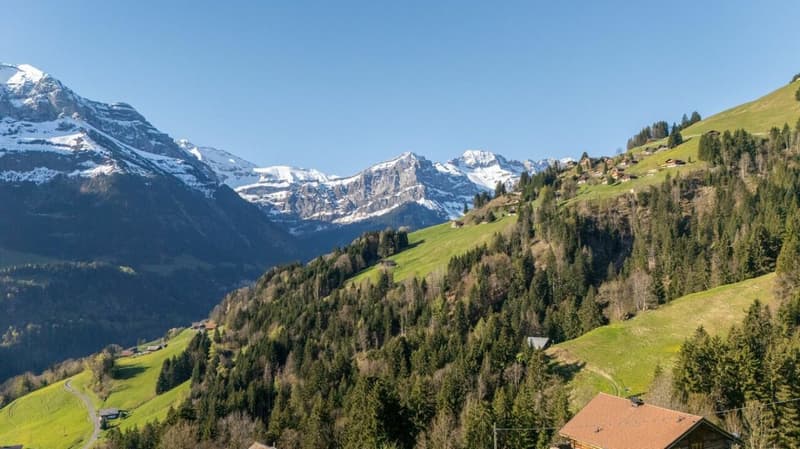 Chalet Plalessu (2)