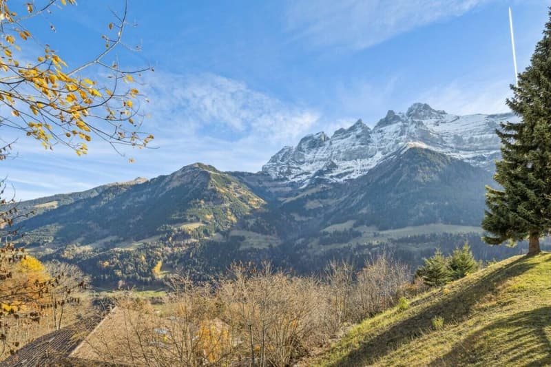 Chalet Perseides (8)