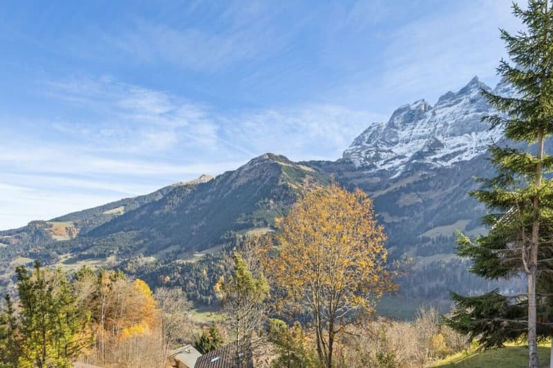Chalet Perseides (11)