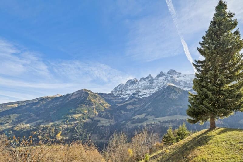 Chalet Perseides (7)