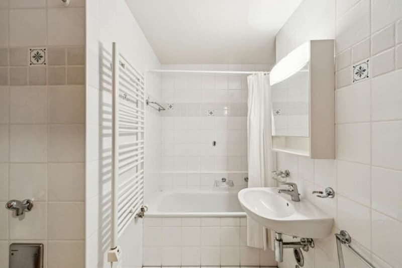 Dents Blanches 1231 (10)