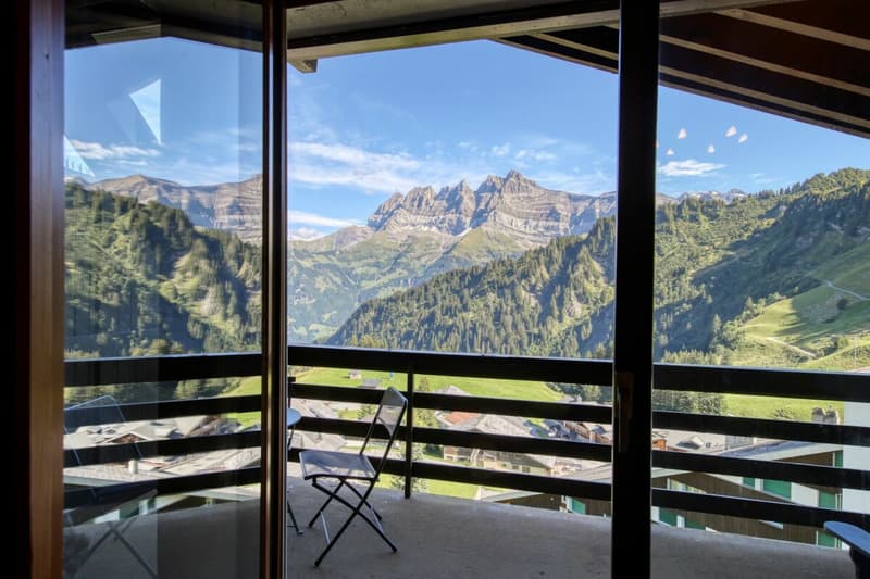 Mirois-Montagne 37 (8)