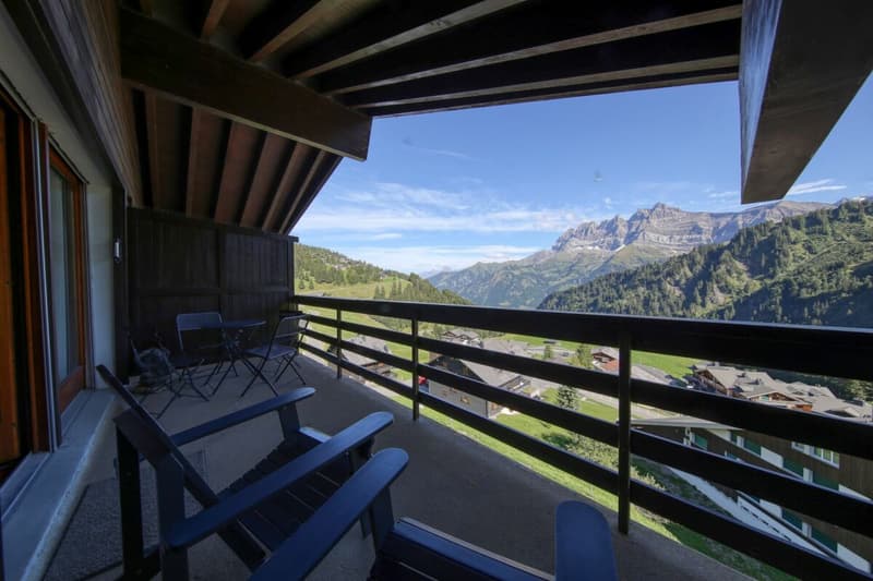 Mirois-Montagne 37 (9)