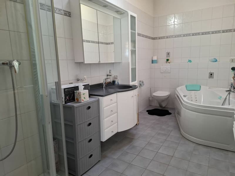 Villa Chavalard Fully (12)