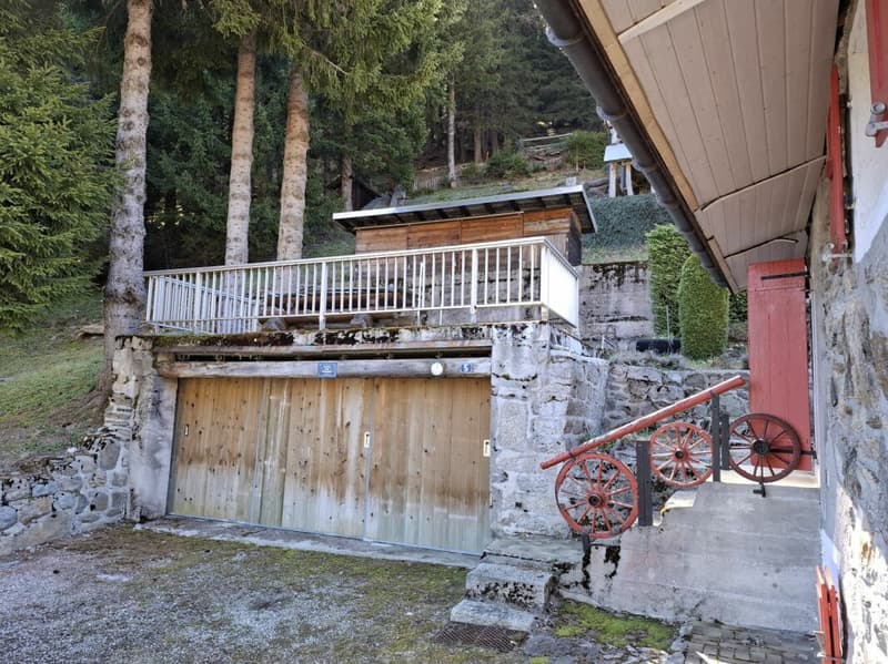 Chalet d'alpage (9)