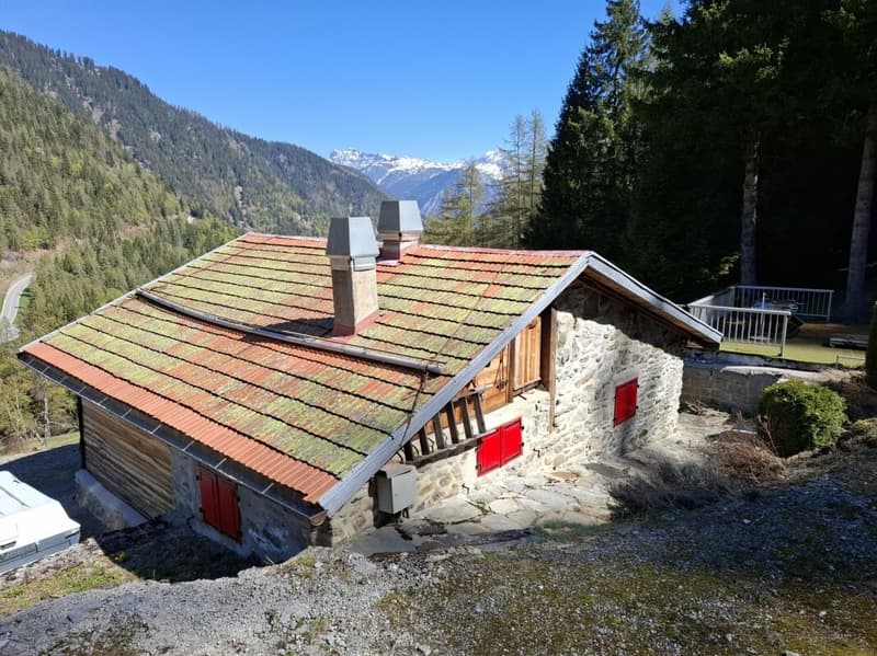 Chalet d'alpage (3)