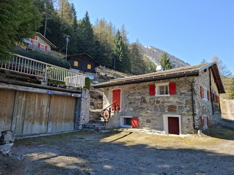 Chalet d'alpage (2)