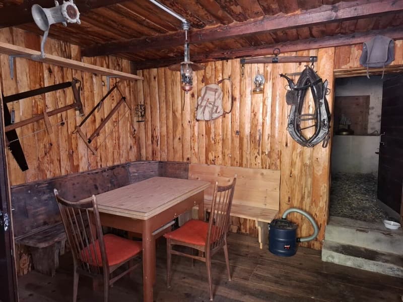 Chalet d'alpage (8)