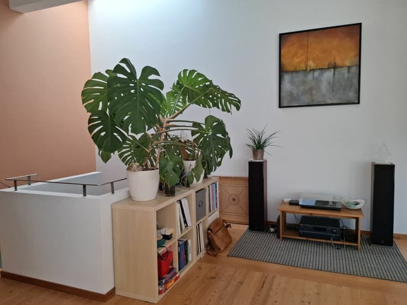 Appartement en duplex au coeur de Martigny (6)