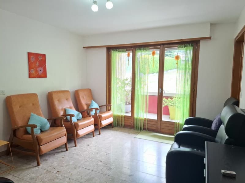 Lot de 2 appartements à Saxon (9)