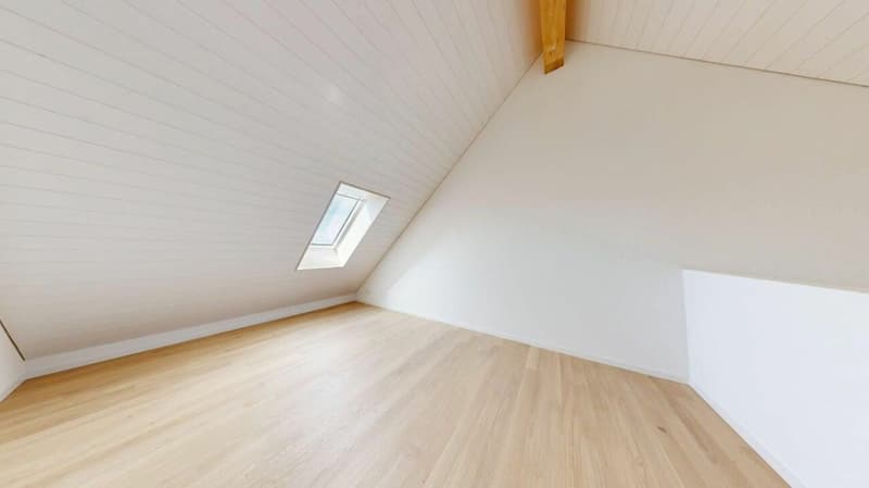 Lumineuse grâce au Velux
