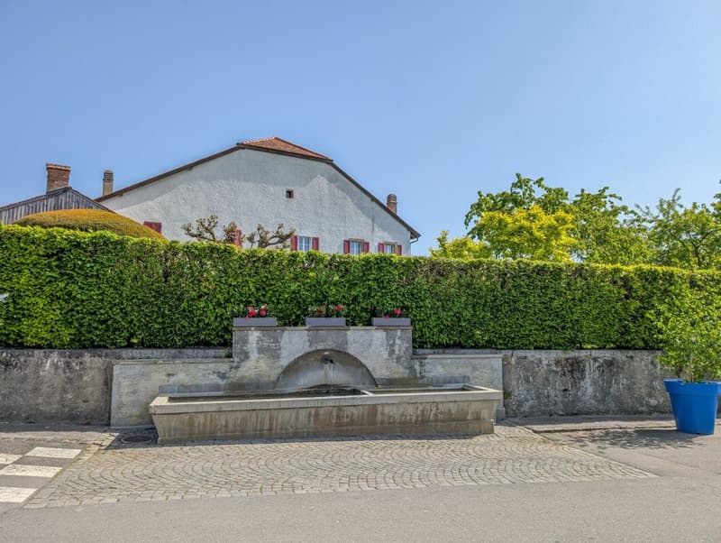 Maison individuelle de 4.5 pièces à vendre au centre de Daillens (8)