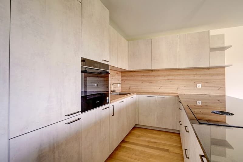 Appartement de 4.5 pièces neuf (4)