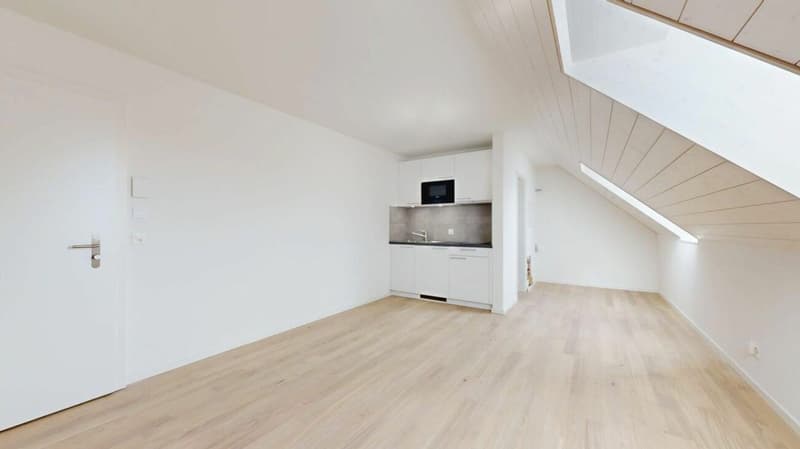 Surface d'activité de 29 m2 (2)
