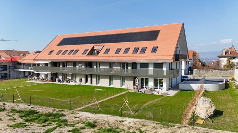Surface d'activité de 29 m2 (1)